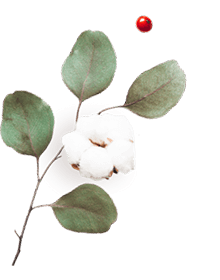 https://victoria-y-gilberto.click/wp-content/uploads/2020/10/floating_image_06.png