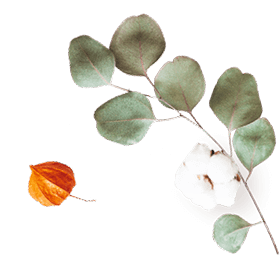 https://victoria-y-gilberto.click/wp-content/uploads/2020/10/floating_image_07.png
