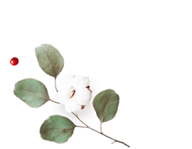 https://victoria-y-gilberto.click/wp-content/uploads/2020/12/floating_image_flower_01.png