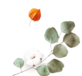 https://victoria-y-gilberto.click/wp-content/uploads/2020/12/floating_image_flower_02.png