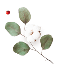 https://victoria-y-gilberto.click/wp-content/uploads/2020/12/floating_image_flower_03.png