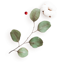 https://victoria-y-gilberto.click/wp-content/uploads/2020/12/floating_image_flower_04.png
